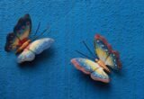 My Social Butterfly Wings Got Clipped by a Friend’s Shocking Affair